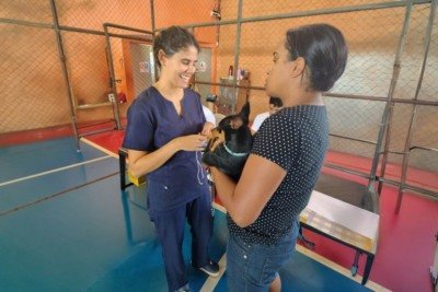 Saiba mais sobre o novo projeto de cuidado à cães e gatos -  (crédito: Divulgação/Marianna Borges)