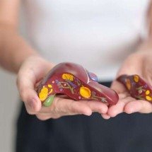 Hepatite viral: MG tem 47 mil casos e 5 mil mortes entre 2000 e 2024 - Magnific