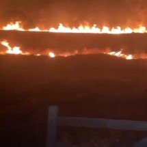Cabo de alta tensão rompe e causa incêndio em vegetação em Minas - CBMMG/Divulgação