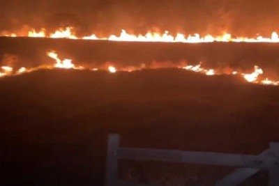 Bombeiros usaram abafadores, bombas costais e 1 mil litros de água para combater incêndio em vegetação -  (crédito: CBMMG/Divulgação)