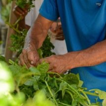 Mais recursos e menos intermediários do campo à merenda escolar - Tomaz Silva/Agência Brasil