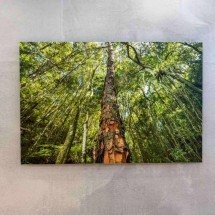 ‘Olhe para cima’ reúne imagens de Daniel Mansur 