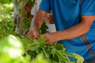Mais recursos e menos intermediários do campo à merenda escolar