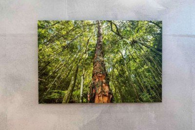 A exposição 'Olhe para cima', em cartaz na Galeria Olhar BH, reúne obras do fotógrafo mineiro Daniel Mansur -  (crédito: daniel mansur/divulgação)