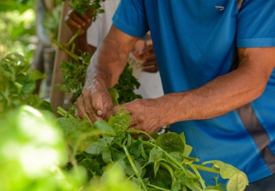 Mais recursos e menos intermediários do campo à merenda escolar