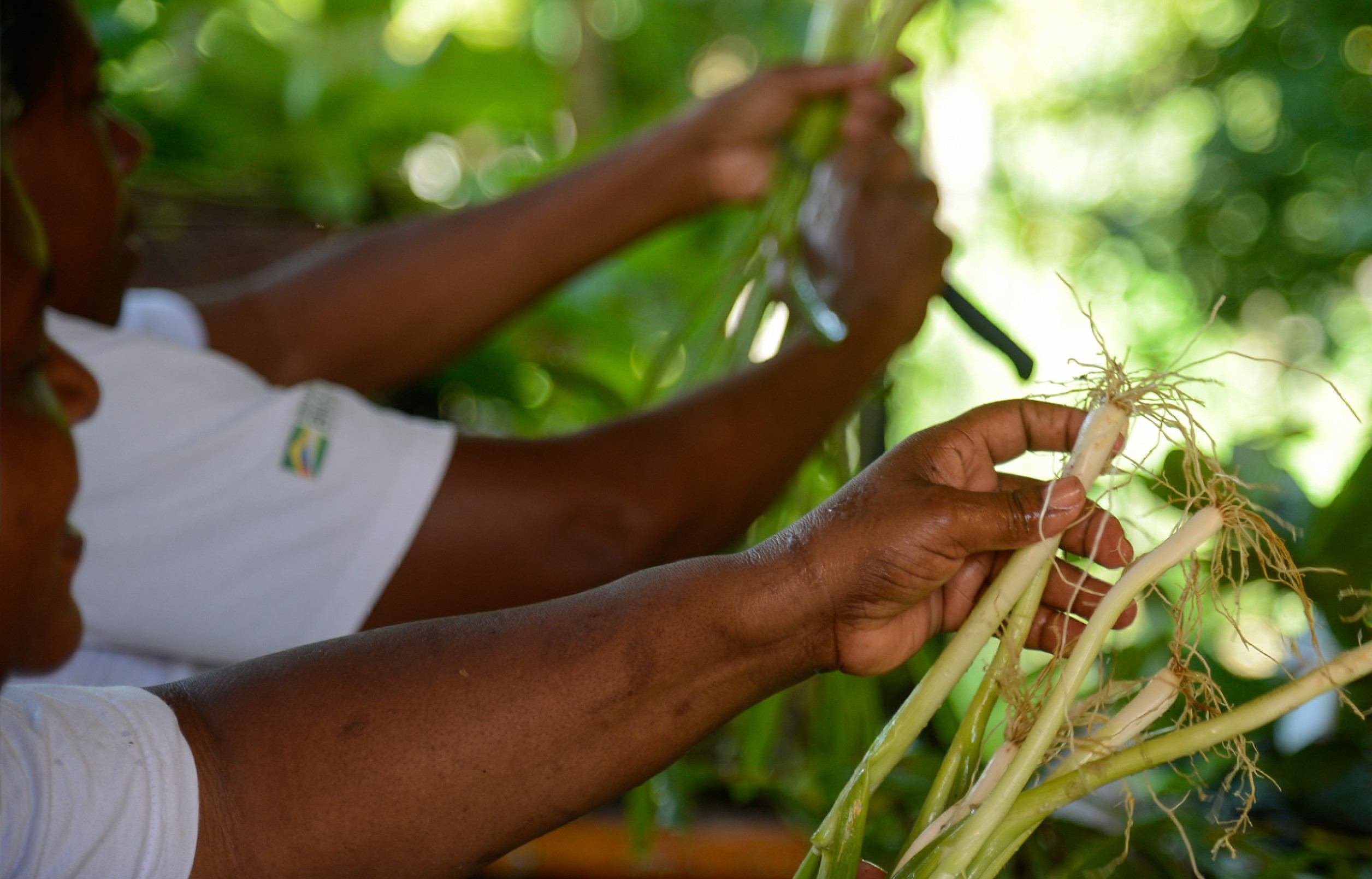Em Minas, a presen&ccedil;a feminina no cooperativismo se destaca na agricultura familiar 