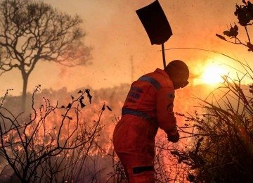Bombeiro luta para combater incêndio criminoso às margens da BR-381, em Caeté, um dos mais de 400 focos registrados em julho de 2025 -  (crédito: Leandro Couri/EM/D.A.Press -30/7/2015)