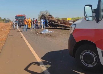 O caminhão transportava bois no momento do capotamento -  (crédito: Reprodução/Redes Sociais )