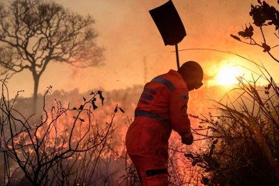 Bombeiro luta para combater incêndio criminoso às margens da BR-381, em Caeté, um dos mais de 400 focos registrados em julho de 2025 -  (crédito: Leandro Couri/EM/D.A.Press -30/7/2015)