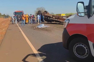 O caminhão transportava bois no momento do capotamento -  (crédito: Reprodução/Redes Sociais )