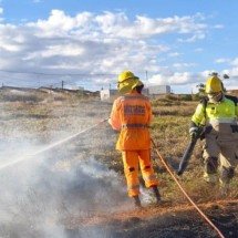 Vídeo: incêndio em cidade mineira destrói área de 48 campos de futebol - CBMMG / Divulgação 