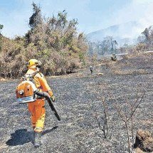 Fogo avança em Minas e incêndios dão salto de 48% no início da seca - CBMMG/Divulgação