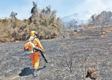 Bombeiros destacam que cenário crítico com a combinação de clima seco e altas temperaturas é agravado por negligência humana ou ação criminosa -  (crédito: CBMMG/Divulgação)