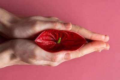 A hipertrofia do clitóris ainda é um tema pouco discutido, mas é mais comum do que muitas pessoas imaginam -  (crédito: Magnific)