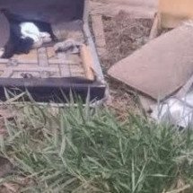 Mãe que abandonou recém-nascido em lote vago é presa na Grande BH  - Reprodução/Redes Sociais 