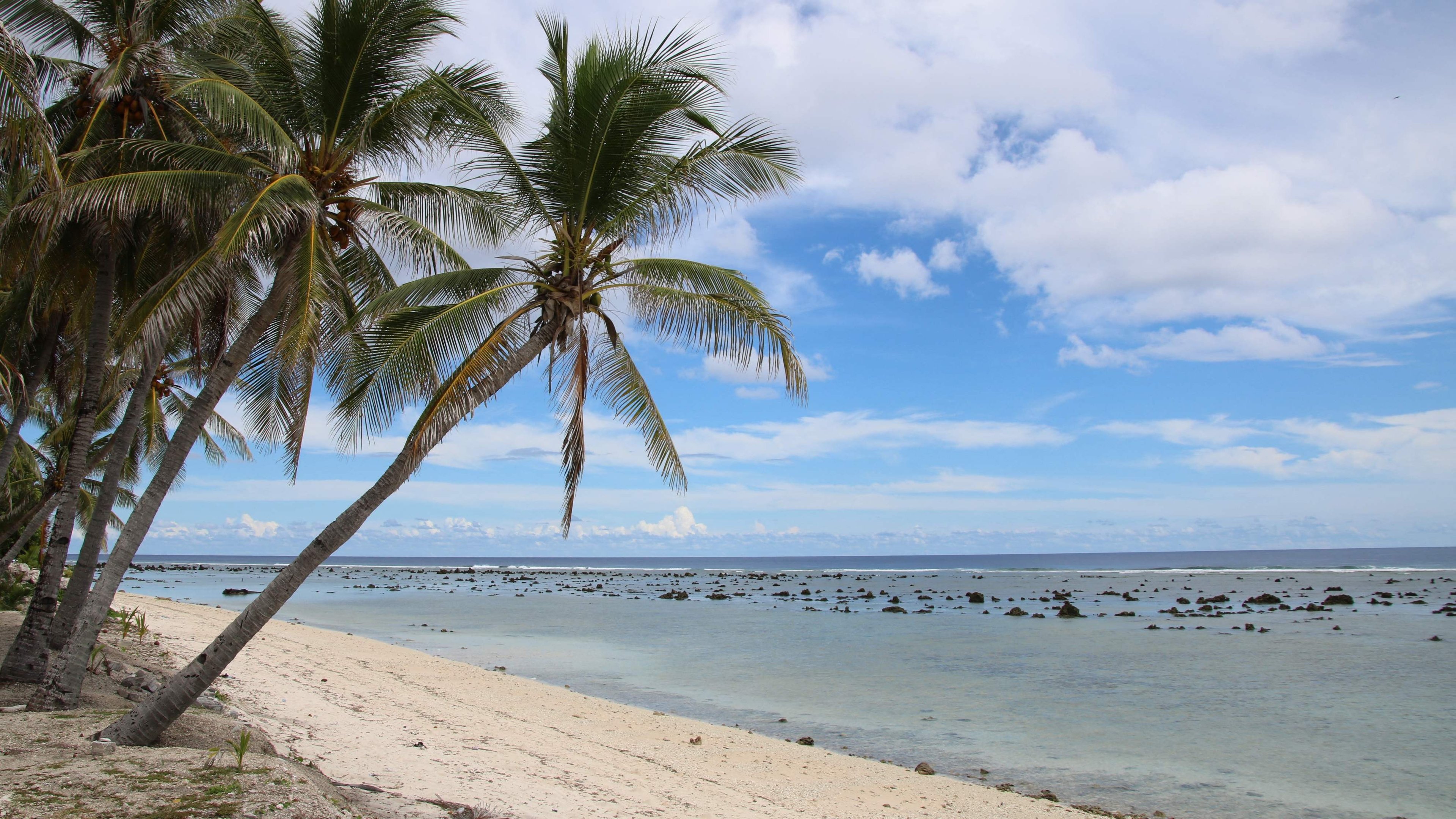 Nauruo, uma na&ccedil;&atilde;o insular do Pac&iacute;fico, exibe sua beleza natural e vulnerabilidade ao aumento do n&iacute;vel do mar -  (crédito: Mike LEYRAL / AFP)
