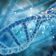 Colesterol alto, obesidade e diabetes: quando a genética pode ser a causa - Magnific