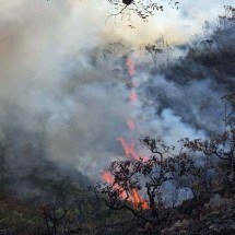 Grande BH: Bombeiros registram 136 chamados de incêndios florestais em 24h - CBMMG/Divulga&ccedil;&atilde;o