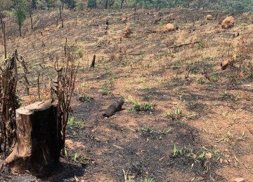 Redução da ocorrência de chuvas em Minas aumenta o risco de queimadas e incêndios em áreas de vegetação -  (crédito: Mateus Parreiras/EM/DA.Press)