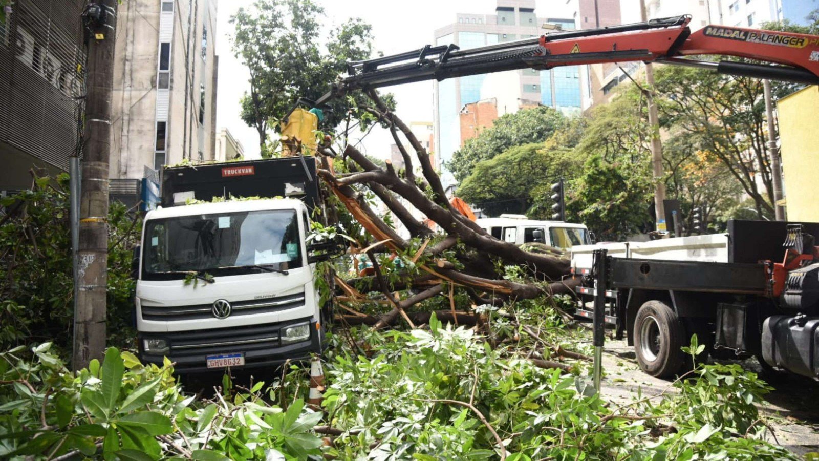Na queda, a &aacute;rvore atingiu um caminh&atilde;o e uma motocicleta que trafegavam pelo local e comprometeu a fia&ccedil;&atilde;o da rede el&eacute;trica