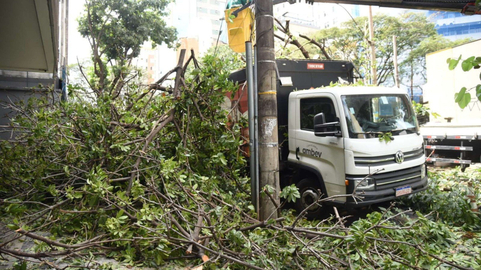 Árvore de grande porte cai na Rua Sergipe, esquina com a Avenida Cristóvão Colombo, na Savassi, na Região Centro-Sul de BH-Gladyston Rodrigues/EM/DA Press