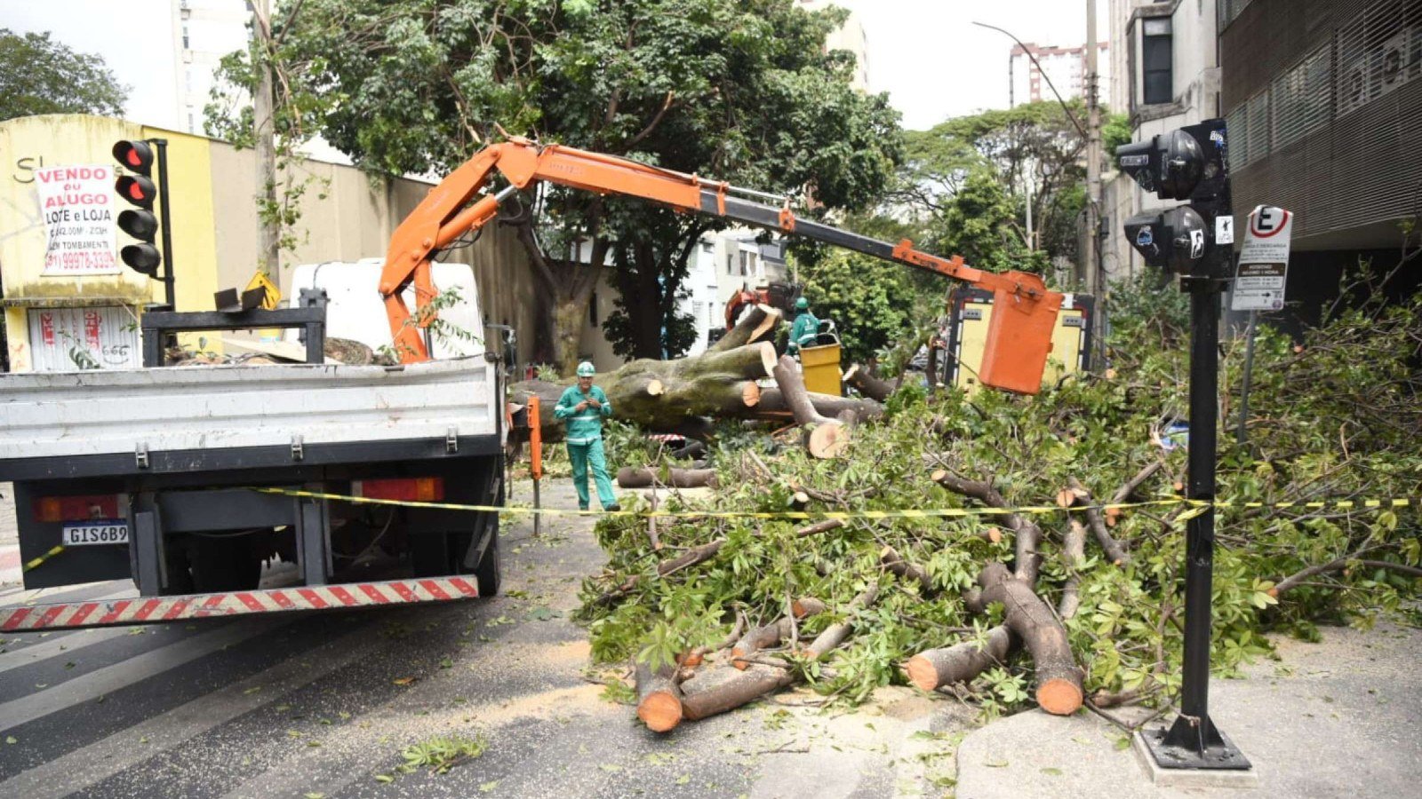 Árvore de grande porte cai na Rua Sergipe, esquina com a Avenida Cristóvão Colombo, na Savassi, na Região Centro-Sul de BH-Gladyston Rodrigues/EM/DA Press