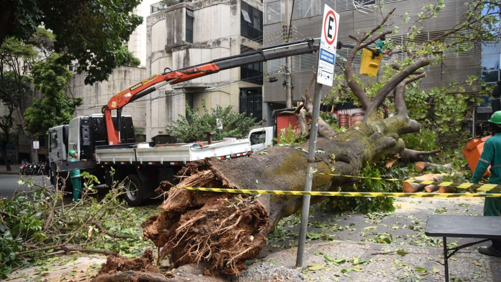 Árvore de grande porte cai na Rua Sergipe, esquina com a Avenida Cristóvão Colombo, na Savassi, na Região Centro-Sul de BH-Gladyston Rodrigues/EM/DA Press