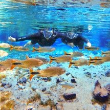 O segredo de um destino bonito por natureza — até debaixo d’água - Nascente Azul/Divulgação