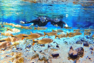 Na Nascente Azul, o mergulho vai al&eacute;m das &aacute;guas cristalinas. &Eacute; sil&ecirc;ncio, conex&atilde;o e um encontro profundo com a for&ccedil;a da natureza -  (crédito: Nascente Azul/Divulgação)