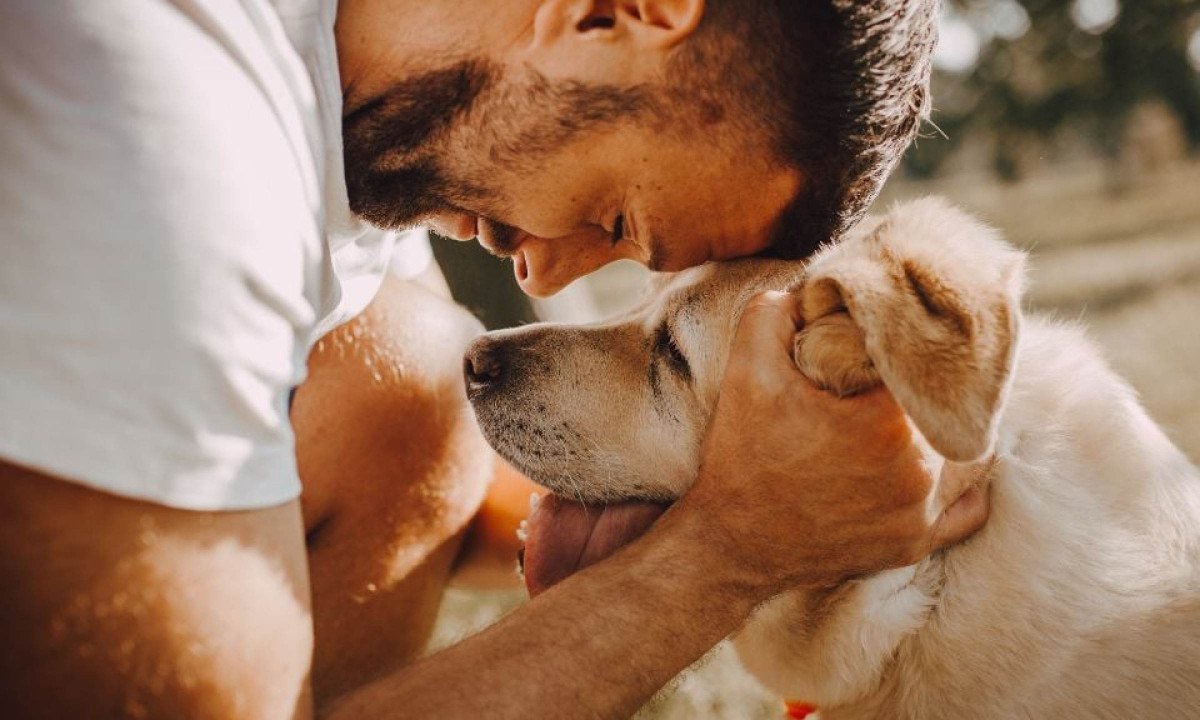 10 previsões que os cachorros podem fazer - (crédito: Wemystic)