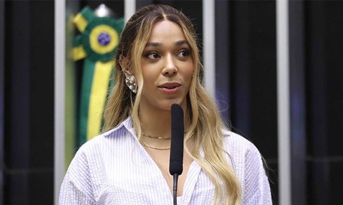 A deputada Erika Hilton, que enfrenta processo no Conselho de Ética da Câmara dos Deputados - (crédito: Câmara dos Deputados)