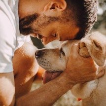 10 previsões que os cachorros podem fazer