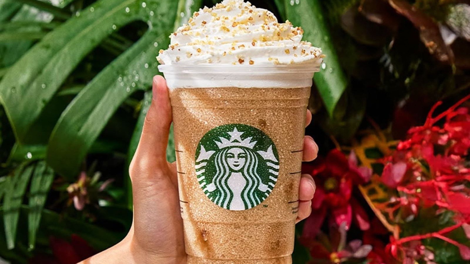 Starbucks retorna a Belo Horizonte com cl&aacute;ssicos globais como o Frappuccino, um dos itens do novo card&aacute;pio da rede na capital -  (crédito: Starbucks Brasil)