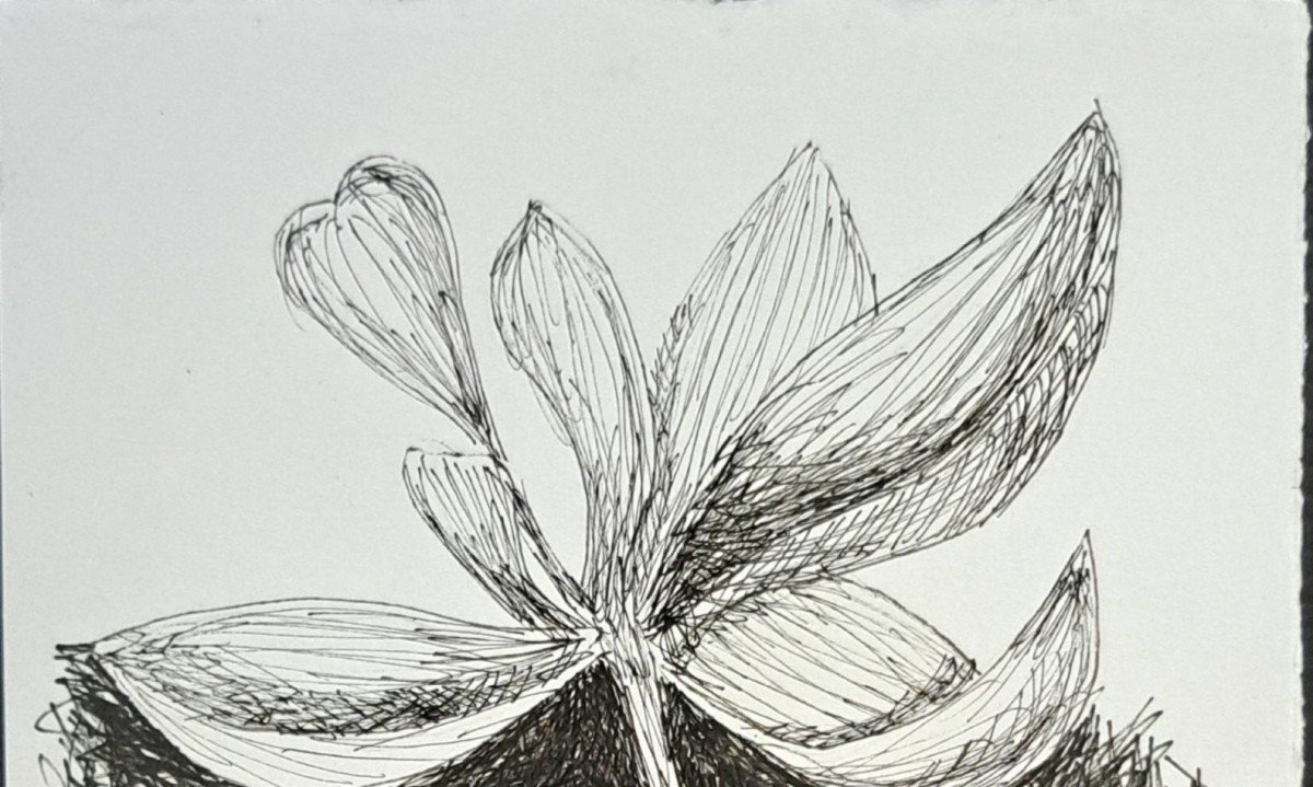 Exposição “UNA”, de Roberto Galvão, reúne obras em Fortaleza - (crédito: DINO)