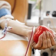 Com novas regras, pessoas com mais de 70 poderão continuar a doar sangue - Magnific