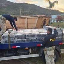 MG: PRF apreende cerca de duas toneladas de maconha em carga de minério - PRF/Divulgação