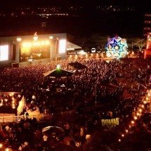 Sandra de Sá, Toni Garrido e Marcelo Falcão se apresentam em festival em MG - Divulgação