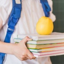 BH: nova lei permite reaproveitar material didático em escolas infantis - Magnific
