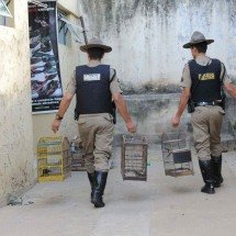 Centro de Triagem do Ibama em BH suspende o recebimento de animais - Beto Novaes/EM/D.A Press 