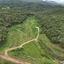 Tecnologia acelera reposição florestal em áreas degradadas - Vale/Divulga&ccedil;&atilde;o