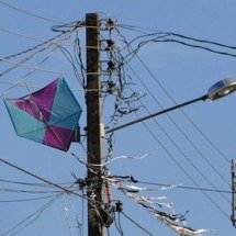 Vídeo: pipas deixaram mais de 313 mil clientes sem energia este ano em MG - Divulgação/Cemig