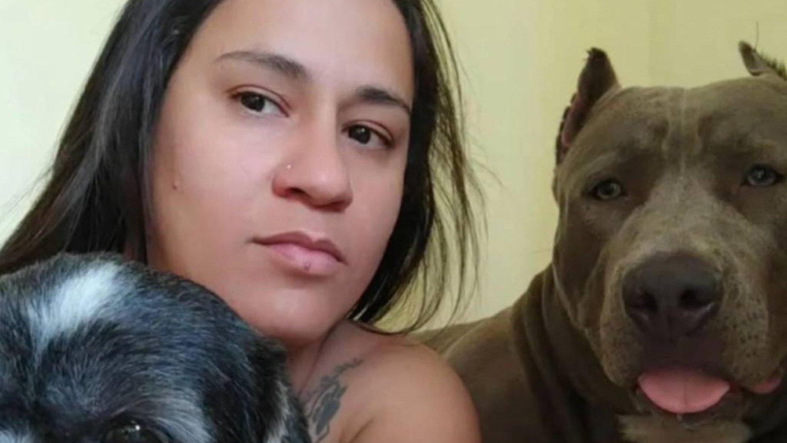 Angelita Manoela Rodrigues, v&iacute;tima de feminic&iacute;dio em S&atilde;o Paulo, e seus c&atilde;es, um dos quais tamb&eacute;m foi morto pelo agressor -  (crédito: TV Globo / reprodu&ccedil;&atilde;o)