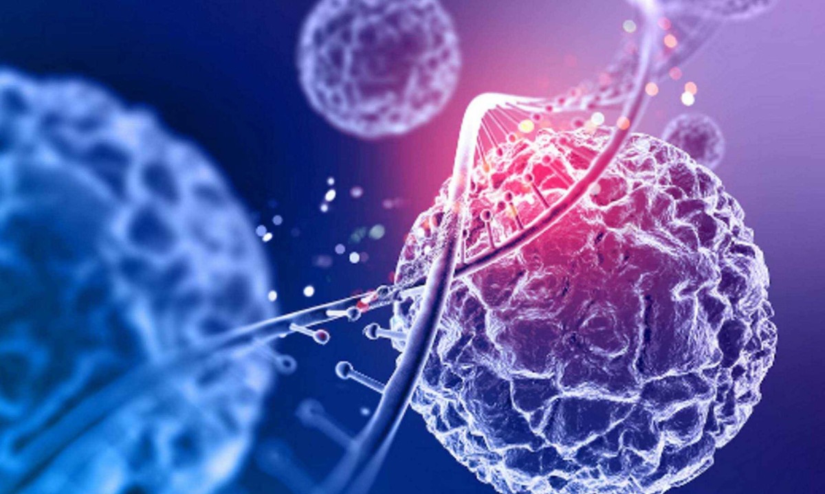 Linfomas estão entre os cânceres mais frequentes na infância e na adolescência - (crédito: Magnific)
