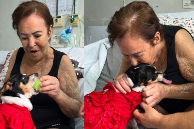 Dona Maria reencontra sua pinscher Lindinha no Hospital São Francisco -  (crédito: Brendha Bonomi/HSF)