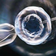 FIV ou inseminação intrauterina? Entenda as diferenças na primeira consulta - Magnific