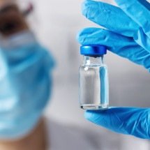 Pesquisadores criam "vacina inteligente" e mais segura contra chikungunya - Shutterstock/Fapesp