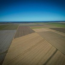 Municípios mineiros decretam emergência econômica no agronegócio - Alexandre Guzanshe/EM/D.A. Press