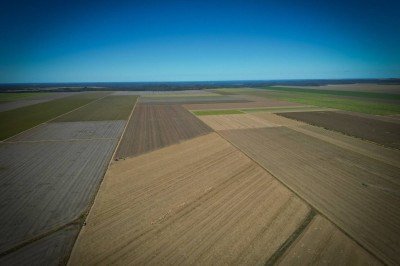 Crise afetou produtos como alho, soja, milho, feijão e batata, além da pecuária -  (crédito: Alexandre Guzanshe/EM/D.A. Press)