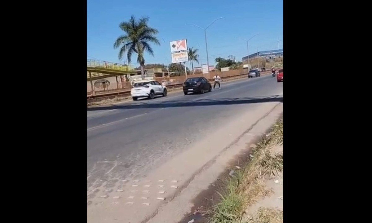 Atropelamento aconteceu no quilômetro 518 da rodovia - (crédito: Redes sociais/Reprodução)