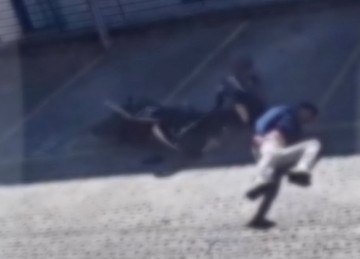 A mulher fugiu após agredir o homem -  (crédito: Reprodução/Redes Sociais )